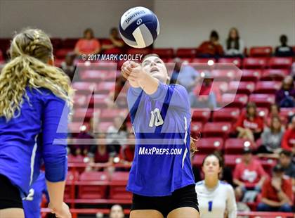 Thumbnail 3 in Robinson @ Lorena photogallery.