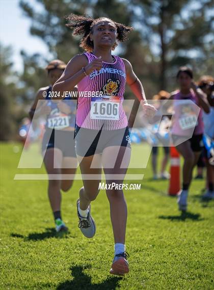 Thumbnail 1 in NIAA 3A  Southern Regionals photogallery.