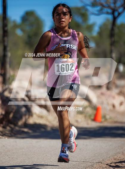 Thumbnail 3 in NIAA 3A  Southern Regionals photogallery.