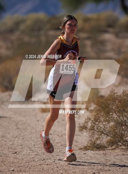 Thumbnail 3 in NIAA 3A  Southern Regionals photogallery.