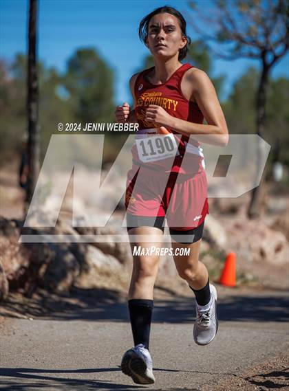 Thumbnail 2 in NIAA 3A  Southern Regionals photogallery.