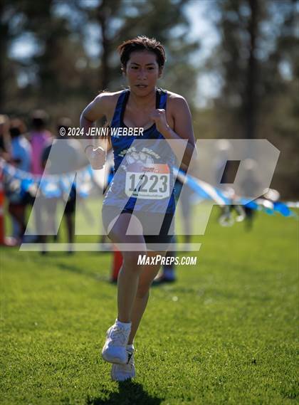 Thumbnail 1 in NIAA 3A  Southern Regionals photogallery.