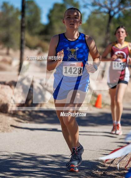 Thumbnail 3 in NIAA 3A  Southern Regionals photogallery.
