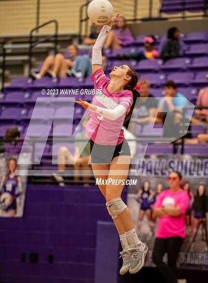 Thumbnail 1 in Mt. Pleasant @ Hallsville photogallery.