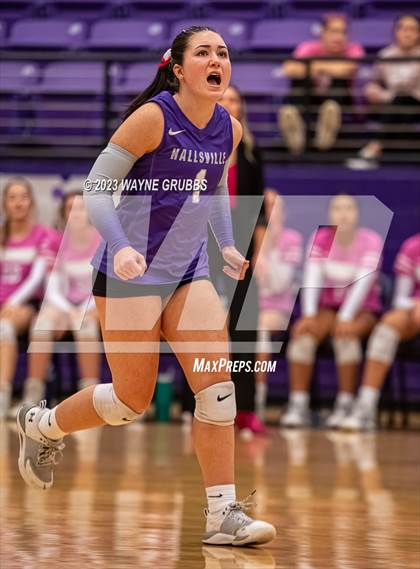 Thumbnail 3 in Mt. Pleasant @ Hallsville photogallery.