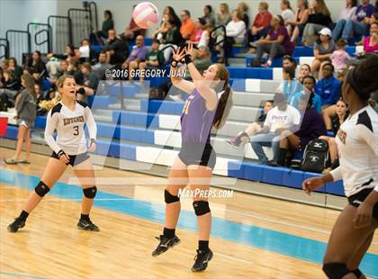 Thumbnail 3 in Lutcher vs McGehee (Penguin Volleyball Classic) photogallery.