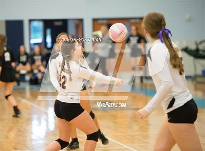 Thumbnail 2 in Lutcher vs McGehee (Penguin Volleyball Classic) photogallery.