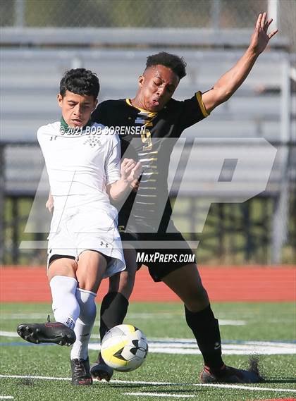 Thumbnail 3 in Brentwood @ Commack photogallery.
