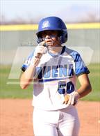 Photo from the gallery "Mountain View @ Buena"