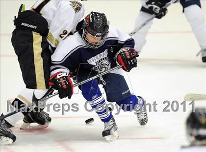 Thumbnail 2 in Shepaug/Litchfield/Nonnewaug @ Barlow photogallery.