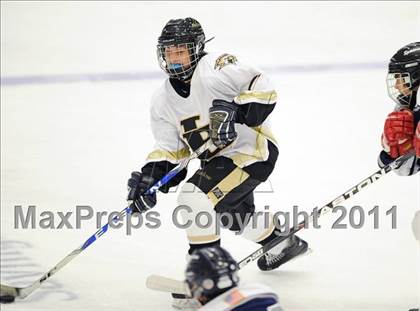 Thumbnail 1 in Shepaug/Litchfield/Nonnewaug @ Barlow photogallery.