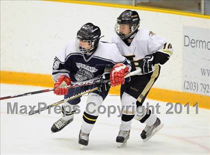 Thumbnail 2 in Shepaug/Litchfield/Nonnewaug @ Barlow photogallery.