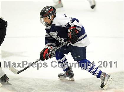 Thumbnail 1 in Shepaug/Litchfield/Nonnewaug @ Barlow photogallery.