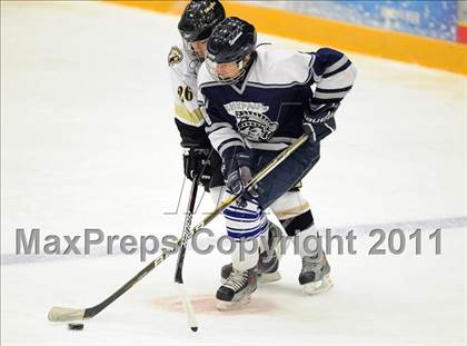 Thumbnail 1 in Shepaug/Litchfield/Nonnewaug @ Barlow photogallery.