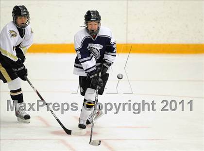 Thumbnail 2 in Shepaug/Litchfield/Nonnewaug @ Barlow photogallery.