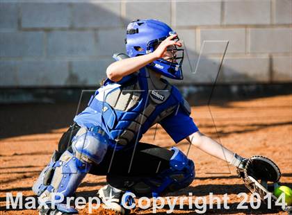 Thumbnail 2 in Gunter @ Sunnyvale photogallery.