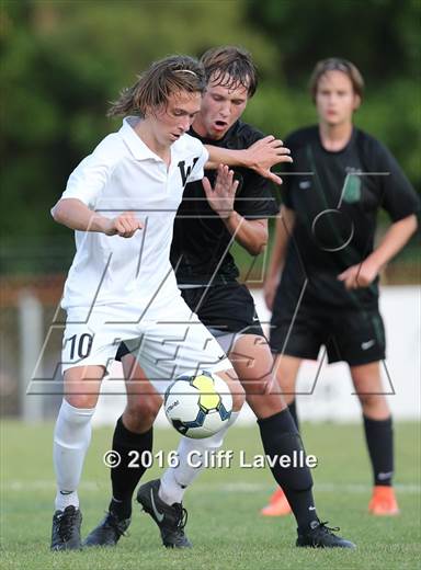 null - Photo 01