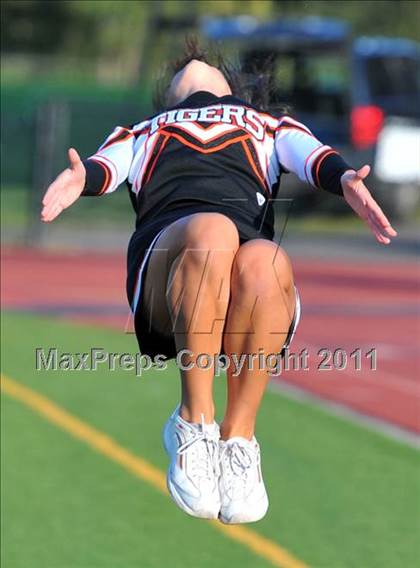 Thumbnail 1 in Stamford @ Ridgefield photogallery.