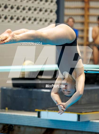 Thumbnail 2 in UIL Region 1-6A Swimming and Diving Finals (Diving) photogallery.
