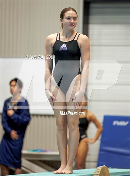 Thumbnail 3 in UIL Region 1-6A Swimming and Diving Finals (Diving) photogallery.