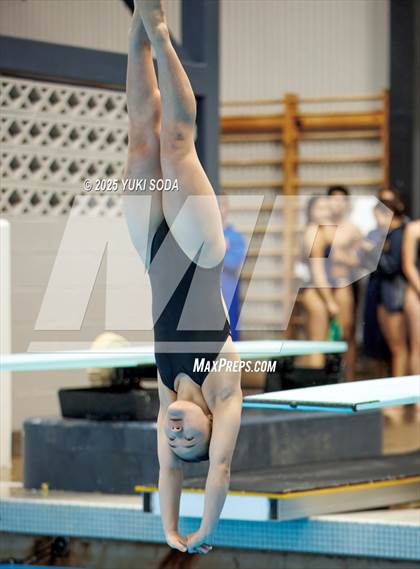 Thumbnail 3 in UIL Region 1-6A Swimming and Diving Finals (Diving) photogallery.