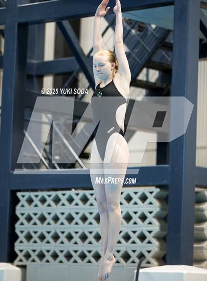 Thumbnail 1 in UIL Region 1-6A Swimming and Diving Finals (Diving) photogallery.