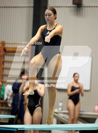 Thumbnail 2 in UIL Region 1-6A Swimming and Diving Finals (Diving) photogallery.