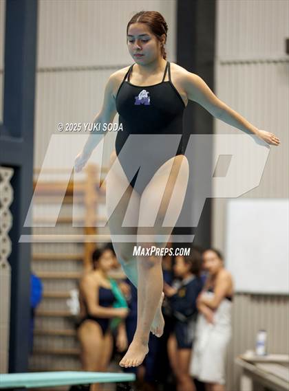 Thumbnail 3 in UIL Region 1-6A Swimming and Diving Finals (Diving) photogallery.
