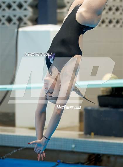 Thumbnail 2 in UIL Region 1-6A Swimming and Diving Finals (Diving) photogallery.