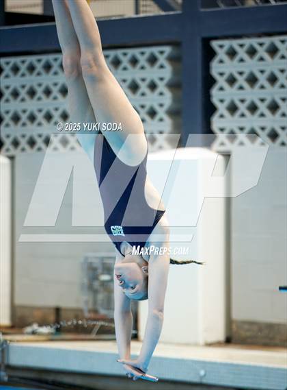 Thumbnail 1 in UIL Region 1-6A Swimming and Diving Finals (Diving) photogallery.