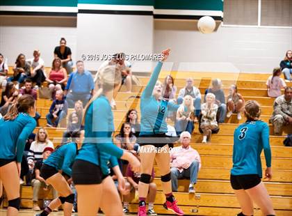 Thumbnail 2 in Oak Hills @ Sultana photogallery.