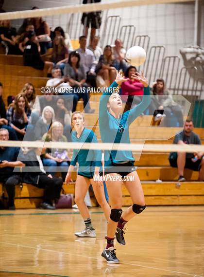 Thumbnail 3 in Oak Hills @ Sultana photogallery.