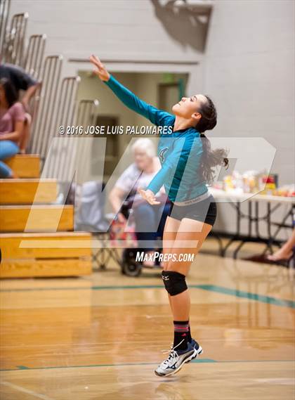 Thumbnail 1 in Oak Hills @ Sultana photogallery.