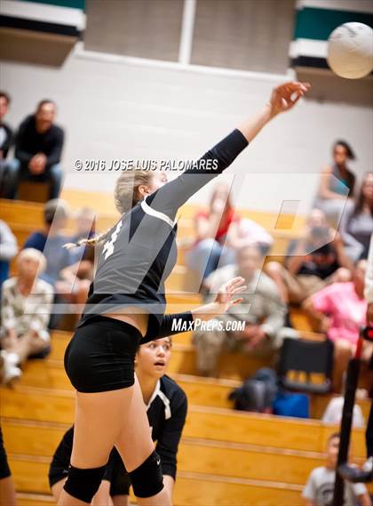 Thumbnail 1 in Oak Hills @ Sultana photogallery.