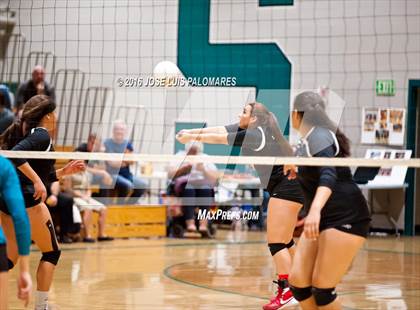 Thumbnail 2 in Oak Hills @ Sultana photogallery.