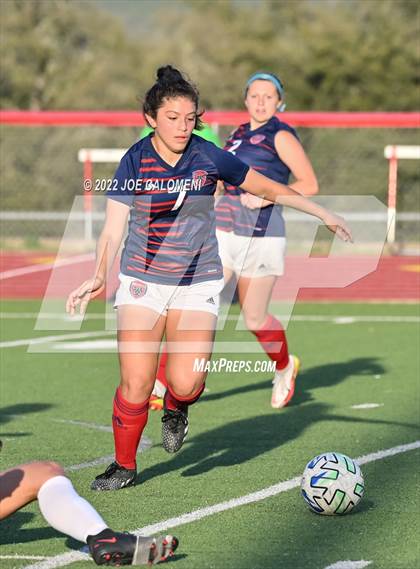 Thumbnail 1 in Wimberley vs Davenport (UIL 4A Region 4 Regional Semifinal) photogallery.