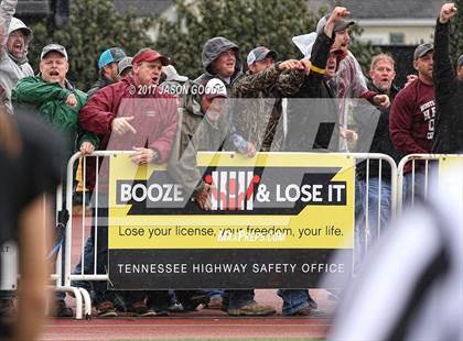 Thumbnail 1 in Greenback vs. Cornersville (TSSAA Division I Class 1A Final)  photogallery.