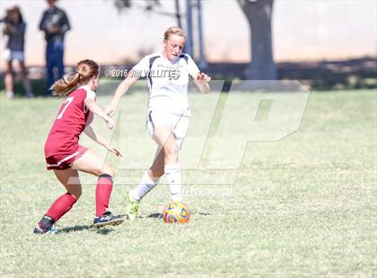 Thumbnail 3 in Round Valley vs. Northland Prep Academy  (AIA 2A Semifinal) photogallery.