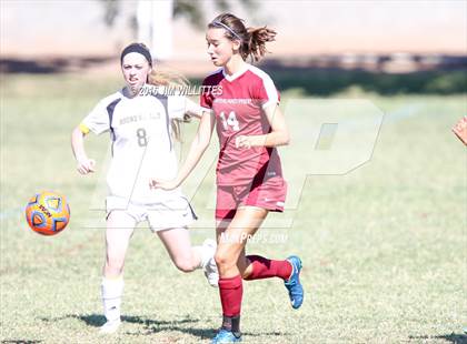 Thumbnail 1 in Round Valley vs. Northland Prep Academy  (AIA 2A Semifinal) photogallery.