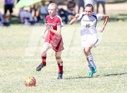 Thumbnail 3 in Round Valley vs. Northland Prep Academy  (AIA 2A Semifinal) photogallery.