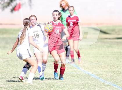 Thumbnail 1 in Round Valley vs. Northland Prep Academy  (AIA 2A Semifinal) photogallery.