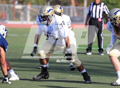 Thumbnail 1 in Franklin vs Marshall photogallery.