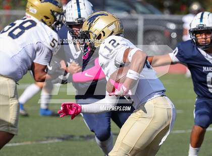 Thumbnail 3 in Franklin vs Marshall photogallery.
