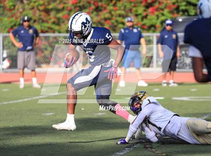 Thumbnail 3 in Franklin vs Marshall photogallery.