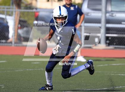 Thumbnail 2 in Franklin vs Marshall photogallery.
