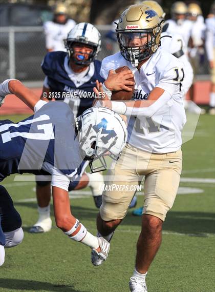 Thumbnail 2 in Franklin vs Marshall photogallery.