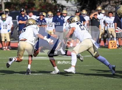 Thumbnail 1 in Franklin vs Marshall photogallery.