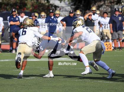 Thumbnail 3 in Franklin vs Marshall photogallery.