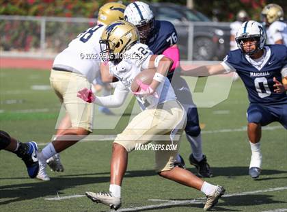 Thumbnail 1 in Franklin vs Marshall photogallery.