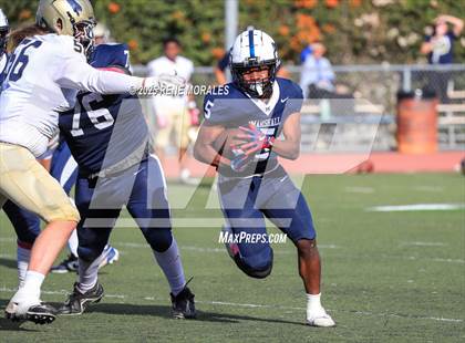Thumbnail 3 in Franklin vs Marshall photogallery.